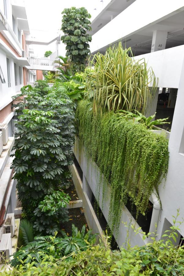 My Daily Homestay - Miri Times Square Esterno foto
